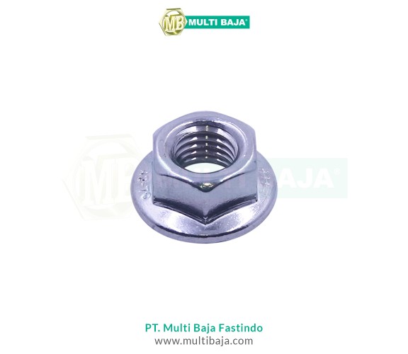 Stainless Steel : SUS 304 Flange Nut DIN6923